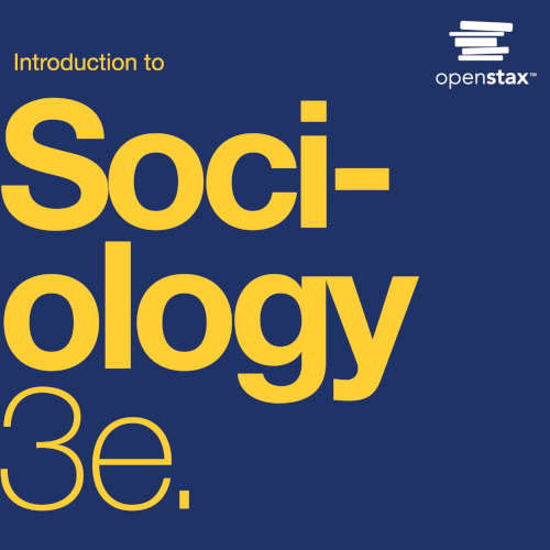 Podcast Cover - Intro to Sociology